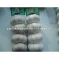 wholesale normal white garlic